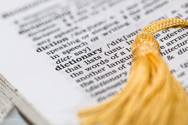 wörterbuch, nachschlagewerk, lernen, bedeutung, wissen, text, bildung, information, buchen, bibliothek, wörter, forschung, weisheit, lesen, seite, erziehen, intellektuell, verstehen, alphabetisierung, wörterbuch, wörterbuch, wörterbuch, wörterbuch, wörterbuch, wörter