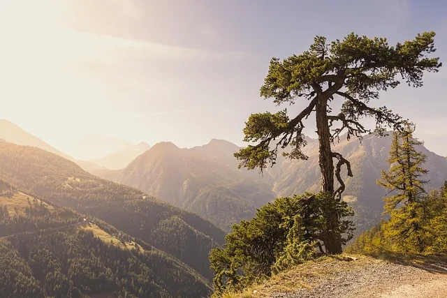 berge, wanderung, herbst, natur, rosswald, visper-termine, wallis, schweiz