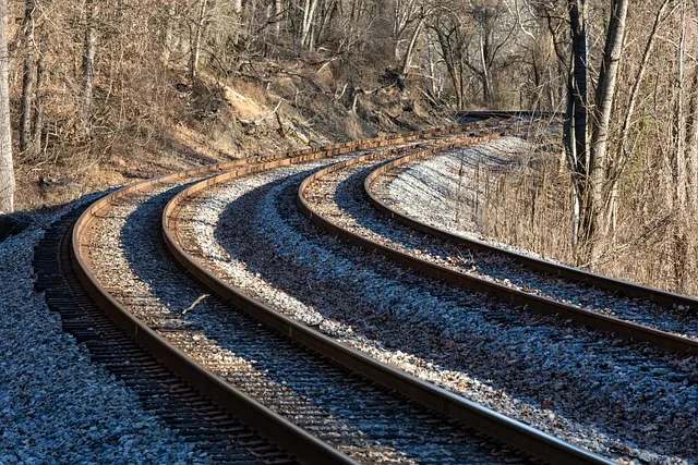zug, spuren, eisenbahn, wald, natur, zug, zug, zug, zug, zug, eisenbahn, eisenbahn, natur