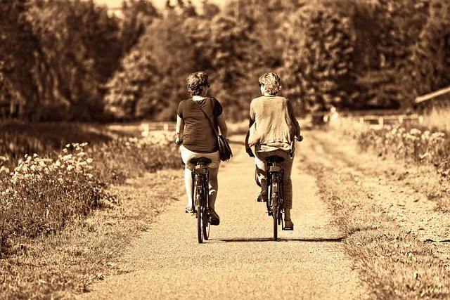 person, frau, zusammen, zwei frauen, zwei, freunde, zwei freunde, nebeneinander, radfahren, nachverfolgen, radweg, ausübung, bewegung, ziehen um, ziel, transport, sonnentag, freunde, freunde, freunde, radfahren, bewegung, bewegung, bewegung, bewegung, bewegung, ziel