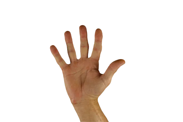 hello, greeting, hand, finger, five, sign language, hello, hello, hello, hello, hello, five, five, five