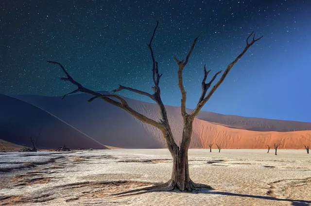 namibia, deadvlei, panorama, acacia, landscape, africa, tree, dune, sand, desert, nature, dry, travel, day, night, namibia, namibia, africa, africa, africa, desert, desert, desert, desert, desert