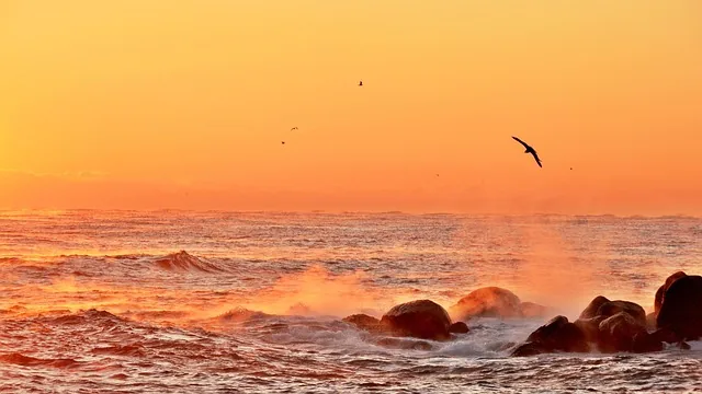 sunrise, dawn, heaven, silhouette, sea, nature, ocean, this type, between the tianjin airport, sea fog