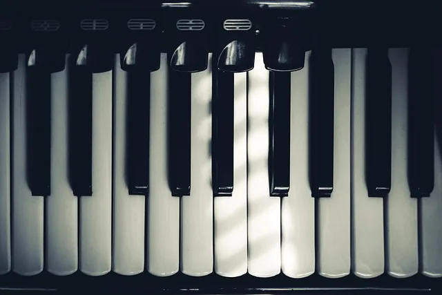 acordeon, keyboard, music, sound, accordion, minor, major, instrument, harmonica, acordeon, acordeon, acordeon, acordeon, accordion, accordion, accordion, accordion, accordion