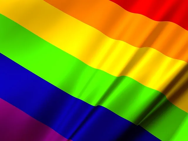 flag, symbol, pride, rainbow, nature, lesbian, love, homosexual, freedom, community, bisexual, sign, homosexuality, icon, rights, colorful, design, transgender, equality, banner, peace, color, transsexual, people, tolerance, parade, discrimination, lifestyle, gender, sexuality, couple