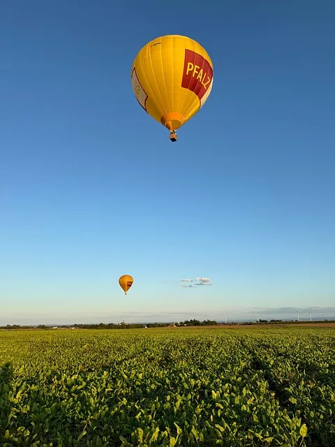 hot air balloon, field, hot air balloon ride, summer, blue sky, transport, pfalz gas, werbung, werbebanner, industrie, rheinland-pfalz, deutschland, herxheim, heißluftballon, sport, abenteuer, zwei, ballons, zwei heißluftballons, pfalz gas firma, firma, banner, natur, lebensstil, nature, hoch oben