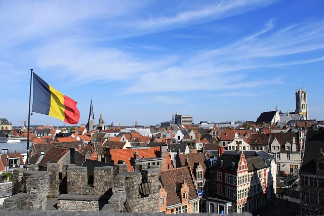 belgium, ghent, gent, himmel, stadt, natur, high, flag, castle of the counts, gravensteen, bavo cathedral, belgien, mann, reisen, architektur, gebäude