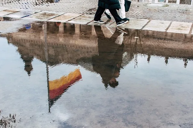 pfütze, reflexion, banner, natur, bundestag, wasser, deutsche flagge, stadt, gehen, gehweg