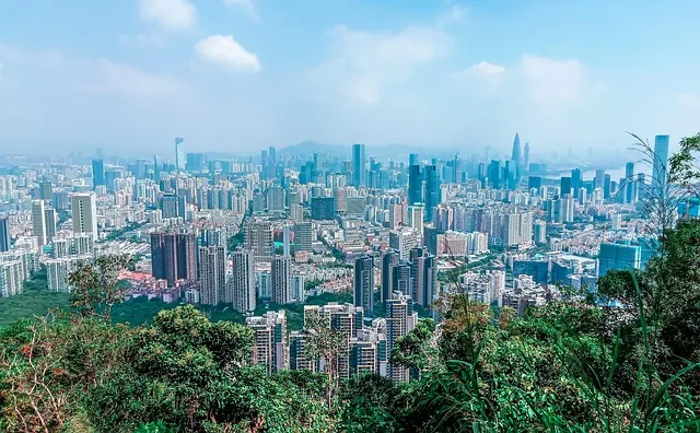 shenzhen, city, panorama, modernisierung, gebäude, pflanze, green, blau, blauer himmel, weiße wolke, natur, großes gebäude, china, nanshan, stadt, himmel, grün