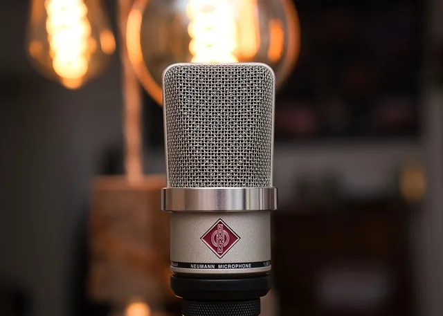 mikrofon, neumann, audio, mic, studio, tonstudio, aufnahme, tlm 102, musik, musikstudio, ton, sound, tonstudio, tonstudio, tonstudio, tonstudio, tonstudio