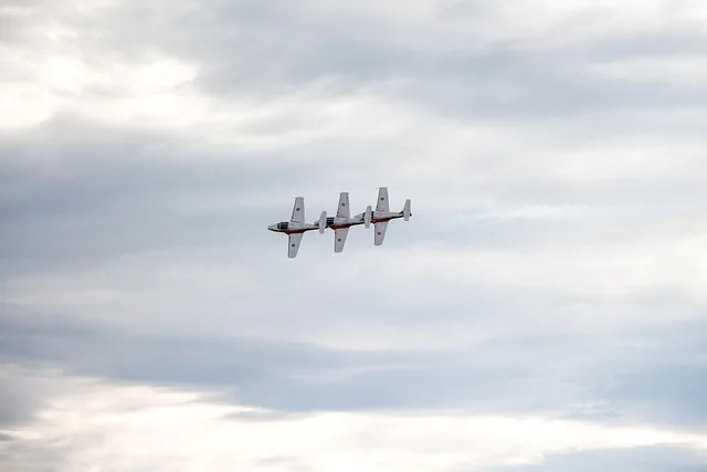 schneevögel, kanada, blauer himmel, präzision, leistung, ct-114-lehrer, flugzeug, jet, verdreifachen, trio, drei, einklang, weiß, kanadisch, stolz, airshow, formation, luft, fliege, pilot, rot, rauch, fliegend, flug, militär, show, geschwindigkeit, team, flügel, gefährlich, hoch, energie, himmel, transport, schnell, akrobatik, kunstflug, nachbrenner, luftwaffe, luftkraft, erstaunliche, natur, luftfahrt, wolke, blau, cockpit, achtung, aufregung, gewalt, freiheit, gruppe, höhe, nation, künstler, profis