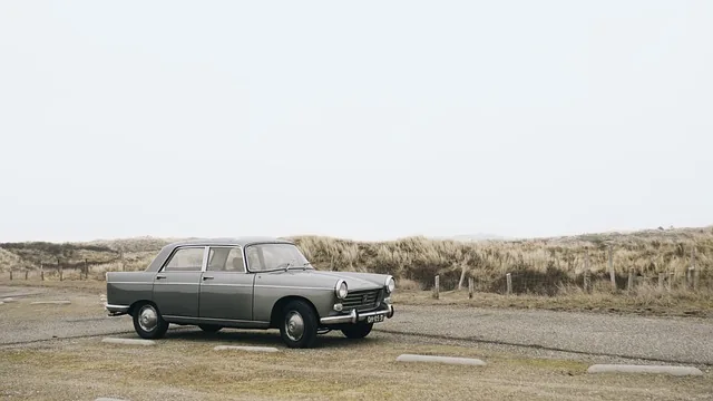 alte schule, england, natur, strand, bindung, james bond, königlich