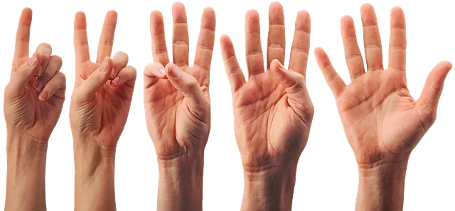 hand, palme, finger, eins, zwei, drei, vier, fünf, geste, durch, handgelenk, palme, palme, finger, finger, finger, finger, finger, drei, vier, fünf, fünf, fünf