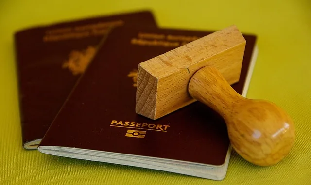 puffer, reisepass, reisen, grenzen, zoll, reisepass, reisepass, reisepass, reisepass, reisepass, zoll