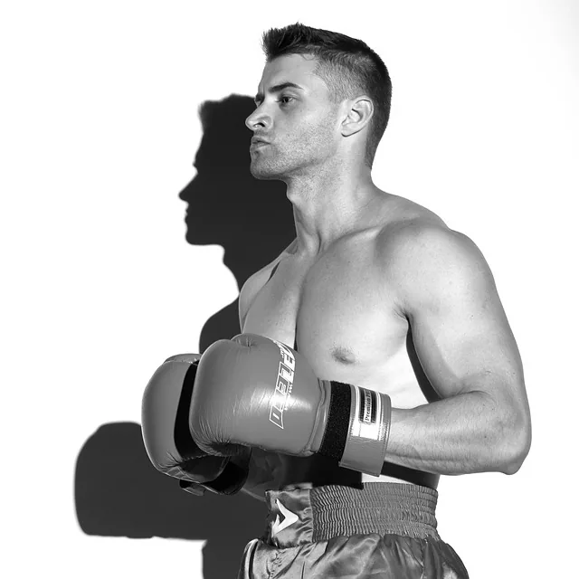boxing, sport, model, boxer, boxen, kickboxen, sportler, fitness, boxing, boxing, boxing, boxing, boxing