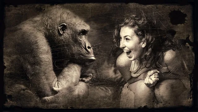 composing, affe, frau, lachen, sepia, braun, gorilla, beobachten, szene, fantasie, fantasy, blick, mystisch, lichtstimmung, fantasiebild, gesicht, märchenhaft, weiblich, hübsch, schön, freundlich, mädchen, emotion, haare, gefühl, mensch, schönheit, kopf, ausdruck, fröhlich, gute laune, lustig, freude, amüsant, glücklich, spaß, witzig, drollig, süß, geste, beziehung, humor, fotomontage, affe, affe, affe, lachen, lachen, lachen, lachen, lachen, fantasy, mensch, mensch, mensch, fröhlich, lustig, freude, freude, freude, freude, beziehung, humor, humor
